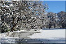 NJ3459 : Frozen Lake by Anne Burgess