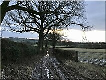 SJ9237 : Frozen and Rutted Track near Knenhall by Jonathan Clitheroe