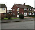 Rooftop pigeons, Larch Grove, Malpas, Newport