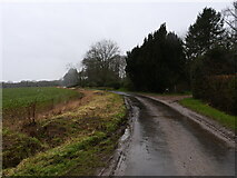TG3529 : Minor Rural Road by David Pashley
