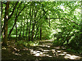 Footpath Watford Rural 11 to Gosforth Lane