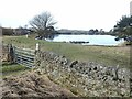 Langley Dam fishing lake