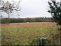 View from Sloley Church Churchyard