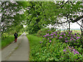 Track towards Home Farm and Highfields