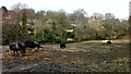 Muddy Field with Horses, Allerton Road, Bradford