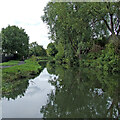 Stourbridge Canal near Withymoor Village, Dudley