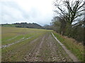 SJ4106 : Field edge path near Plealey by Jeremy Bolwell