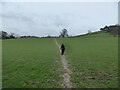 SJ4106 : Path across the field by Jeremy Bolwell