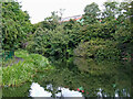 Stourbridge Canal west of Brierley Hill, Dudley