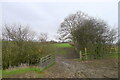 Footpath up Green Hill