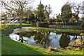 Hanslope village pond