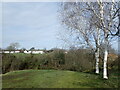 View across The Slade at Plumstead Common