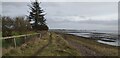 Foreshore at Battlehill