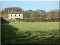 Crow Hall Farm near Holywell Dene, Holywell