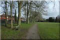 Bench in Hull Road Park