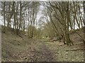 Disused railway cutting