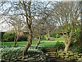 Garden, Northumberland Terrace, Tynemouth