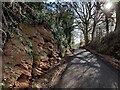 SO8180 : Drakelow Lane at Drakelow by Mat Fascione