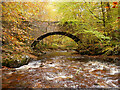 NH8449 : Greystone Bridge, Cawdor Wood by Craig Wallace
