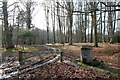 Barrier on forest track New Forest