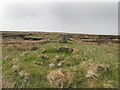 NB4757 : Shieling hut footings, Gèarraidh Eoruilltean, Isle of Lewis by Claire Pegrum