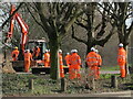 Digger and hi-viz workers, Old Oak Common