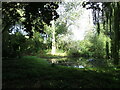 Pond at South Creake