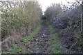 Muddy bridleway along Shire Lane