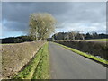 Country road near Brandy Well Hall Farm