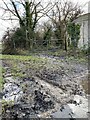 SN1416 : Muddy footpath by Alan Hughes