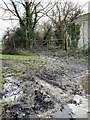 Muddy footpath