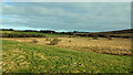 NS3109 : Marshland near the Heart Loch by Mary and Angus Hogg
