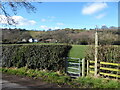 Looking back down the footpath line near Pulverbatch