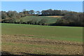 Fields north of Sherfield English