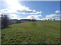 Footpath line up the field