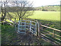 Kissing gate on the footpath near Cothercott