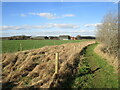 Footpath by the river