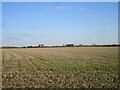 Stubble field between Barnby Lane and Oster Fen Lane