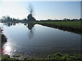 Pond south-west of Malpas