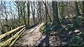 Craig-y-Parcau Local Nature Reserve Trail