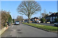 Spring on Banners Gate Road - Sutton Coldfield, West Midlands