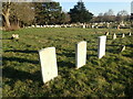 War graves in Woolwich New Cemetery