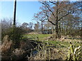 Restricted view towards Marton Pool