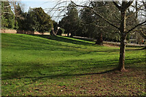 SX9063 : Two Parks, Chelston by Derek Harper