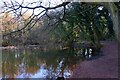 Hilditch Pool in Winter (2), near Hartlebury, Worcs