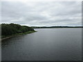 W3471 : Gearagh Reservoir by Jonathan Thacker