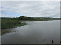 W3370 : Wetland by the Gearagh Reservoir by Jonathan Thacker