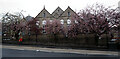 Shipley Primary School, Otley Road (A6038)