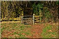 Gate into wood, near Hartlebury, Worcs