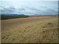 From Braid Knowe towards Flow Moss